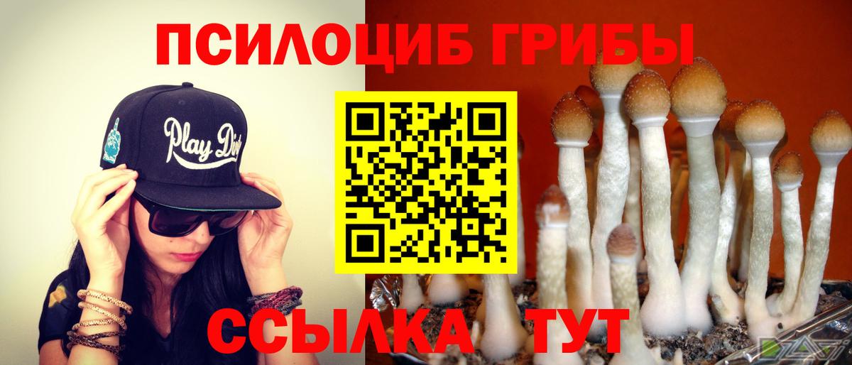 Мытищи  Галлюциногенные грибы GOLDEN TEACHER  Вход с VPN 